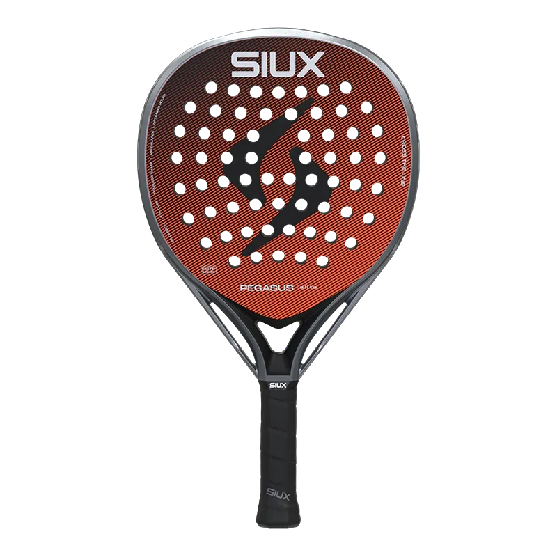 Siux Pegasus Elite 4 2026